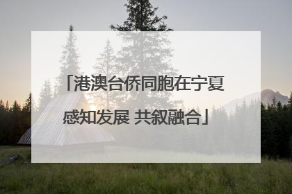 港澳台侨同胞在宁夏感知发展 共叙融合