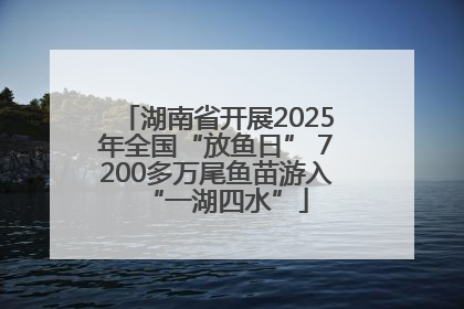 湖南省开展2025年全国“放鱼日” 7200多万尾鱼苗游入“一湖四水”