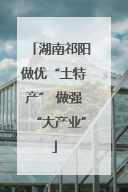 湖南祁阳做优“土特产” 做强“大产业”