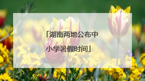 湖南两地公布中小学暑假时间