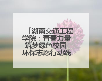 湖南交通工程学院：青春力量筑梦绿色校园 环保志愿行动践行生态文明
