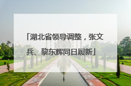 湖北省领导调整，张文兵、黎东辉同日履新