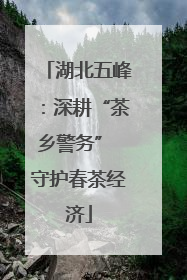 湖北五峰：深耕“茶乡警务” 守护春茶经济