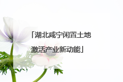 湖北咸宁闲置土地激活产业新动能
