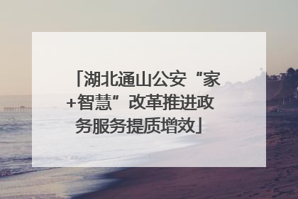 湖北通山公安“家+智慧”改革推进政务服务提质增效