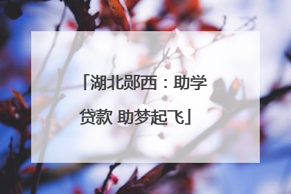 湖北郧西：助学贷款 助梦起飞