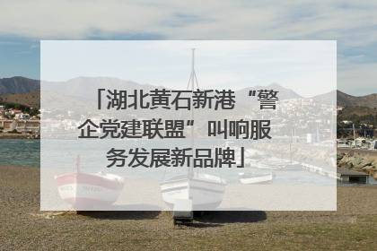 湖北黄石新港“警企党建联盟”叫响服务发展新品牌