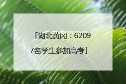 湖北黄冈：62097名学生参加高考