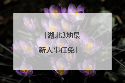 湖北3地最新人事任免