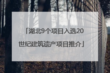 湖北9个项目入选20世纪建筑遗产项目推介