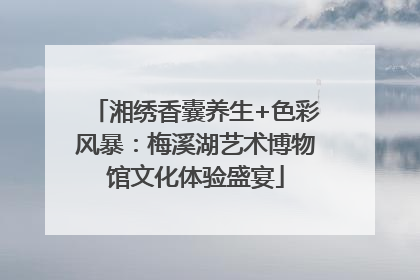 湘绣香囊养生+色彩风暴：梅溪湖艺术博物馆文化体验盛宴