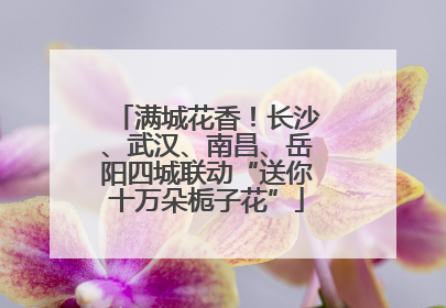 满城花香！长沙、武汉、南昌、岳阳四城联动“送你十万朵栀子花”