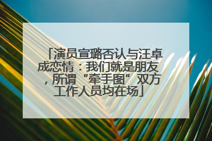 演员宣璐否认与汪卓成恋情：我们就是朋友，所谓“牵手图”双方工作人员均在场