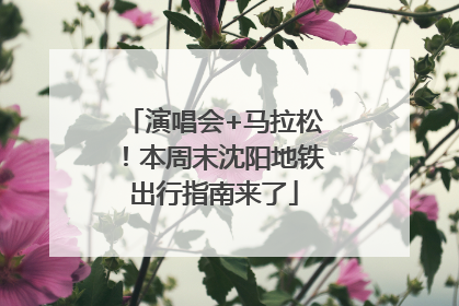 演唱会+马拉松！本周末沈阳地铁出行指南来了