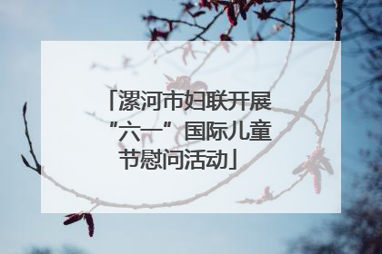 漯河市妇联开展“六一”国际儿童节慰问活动