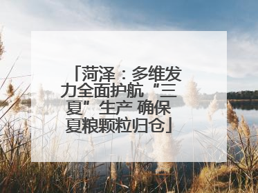 菏泽：多维发力全面护航“三夏”生产 确保夏粮颗粒归仓
