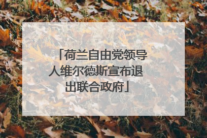 荷兰自由党领导人维尔德斯宣布退出联合政府