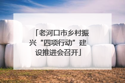 老河口市乡村振兴“四项行动”建设推进会召开