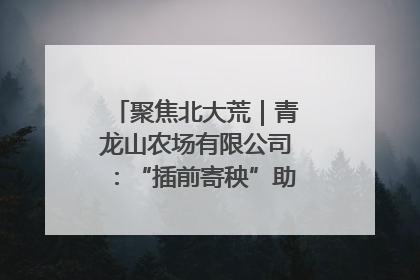 聚焦北大荒｜青龙山农场有限公司：“插前寄秧”助力农业节本增效