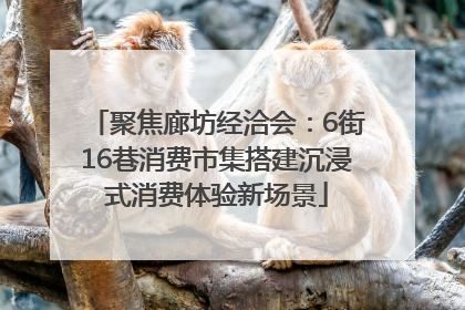 聚焦廊坊经洽会：6街16巷消费市集搭建沉浸式消费体验新场景