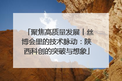 聚焦高质量发展丨丝博会里的技术脉动：陕西科创的突破与想象