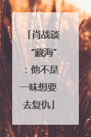 肖战谈“藏海”：他不是一味想要去复仇