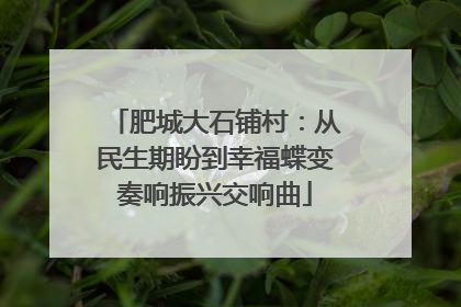 肥城大石铺村：从民生期盼到幸福蝶变奏响振兴交响曲