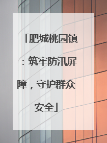 肥城桃园镇：筑牢防汛屏障，守护群众安全