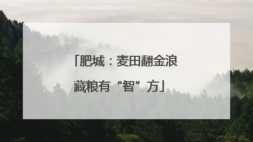 肥城：麦田翻金浪藏粮有“智”方
