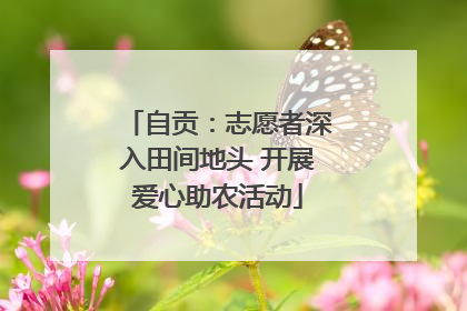 自贡：志愿者深入田间地头 开展爱心助农活动