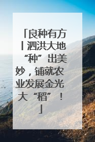 良种有方丨泗洪大地“种”出美妙，铺就农业发展金光大“稻”！