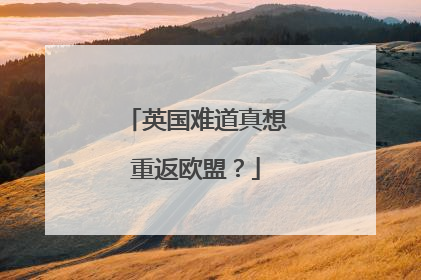 英国难道真想重返欧盟？