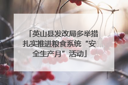 英山县发改局多举措扎实推进粮食系统“安全生产月”活动
