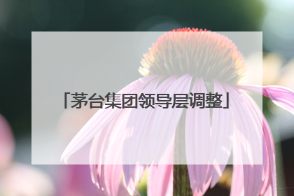 茅台集团领导层调整