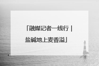 融媒记者一线行｜盐碱地上麦香溢