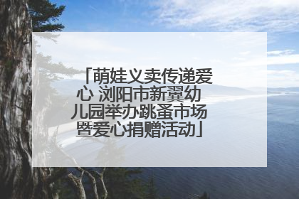 萌娃义卖传递爱心 浏阳市新翼幼儿园举办跳蚤市场暨爱心捐赠活动