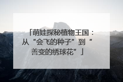 萌娃探秘植物王国：从“会飞的种子”到“善变的绣球花”