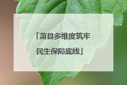 萧县多维度筑牢民生保障底线