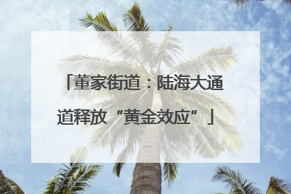 董家街道：陆海大通道释放“黄金效应”