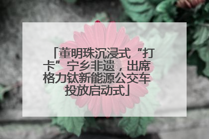 董明珠沉浸式“打卡”宁乡非遗，出席格力钛新能源公交车投放启动式