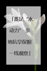 蓄足“水动力” 多地抗旱保粮一线观察