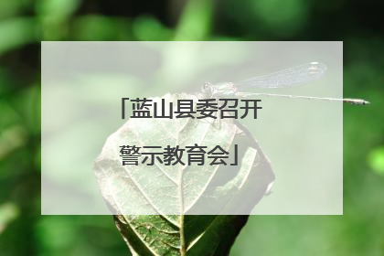 蓝山县委召开警示教育会