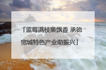 蓝莓满枝果飘香 承德宽城特色产业助振兴