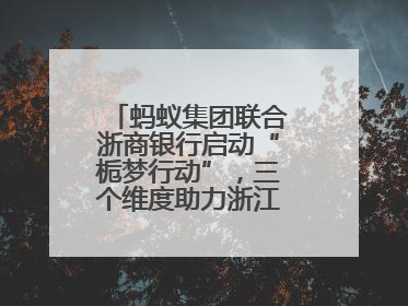蚂蚁集团联合浙商银行启动“栀梦行动”，三个维度助力浙江下姜村建设共富示范区示范点