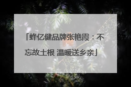 蜂亿健品牌张艳霞：不忘故土根 温暖送乡亲