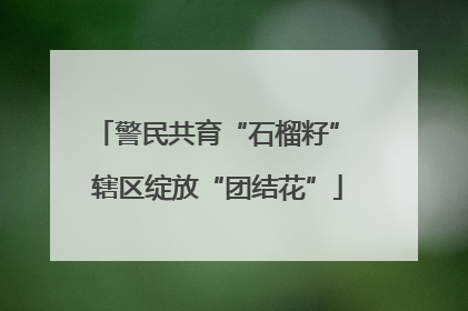 警民共育“石榴籽” 辖区绽放“团结花”