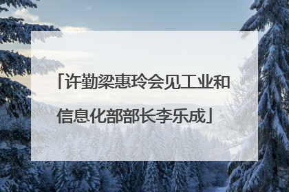 许勤梁惠玲会见工业和信息化部部长李乐成