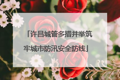 许昌城管多措并举筑牢城市防汛安全防线