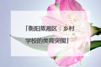 衡阳蒸湘区：乡村学校的美育突围