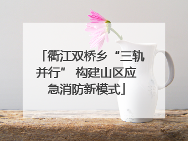 衢江双桥乡“三轨并行” 构建山区应急消防新模式